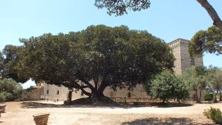 Castello di Donnafugata